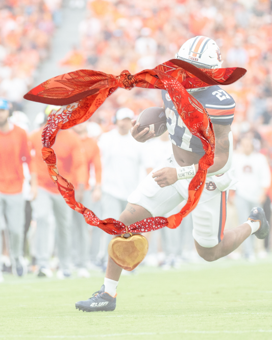 Dark Orange Zebra Twilly Scarf