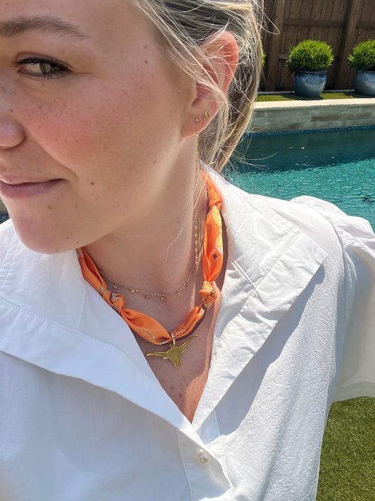LONGHORN CHARM