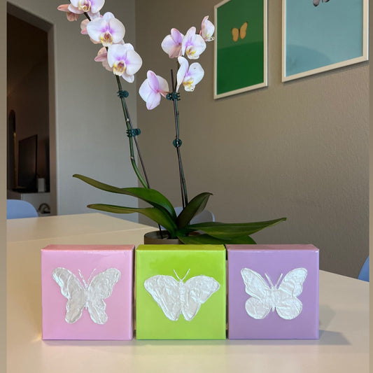 Butterfly Canvas